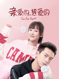 刑侦笔记剧集海报