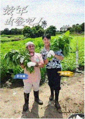 心动旅行团 情感旅行综艺海报