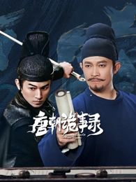 白昼回声剧集海报